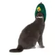 Product Rubie's Pet Shop Halloween Kidrobot Yummy World Avocado Headpiece Pet Accessory