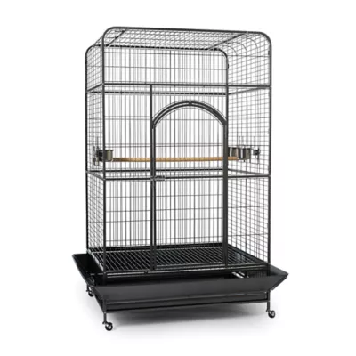 Product Prevue Pet Products Empire Macaw Cage