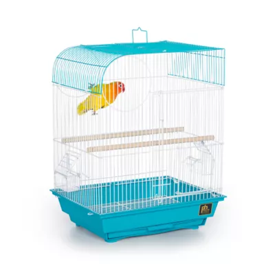 Product Prevue Pet Products South Beach Flat Top Bird Cage Teal