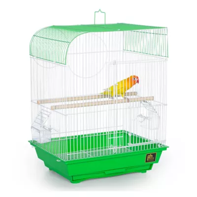 Product Prevue Pet Products South Beach Wave Top Bird Cage Lime Green