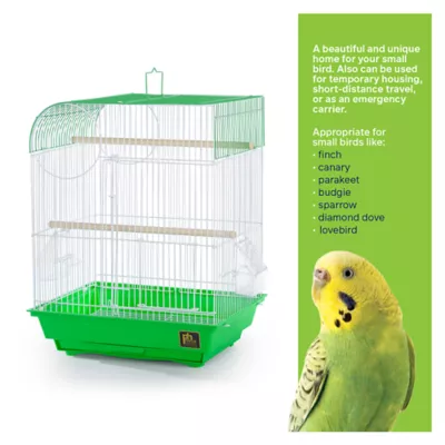 Product Prevue Pet Products South Beach Wave Top Bird Cage Lime Green