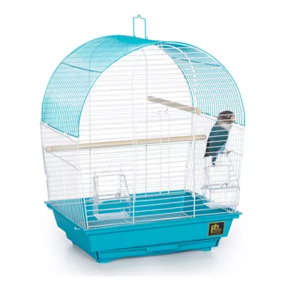 Product Prevue Pet Products South Beach Flat Top Bird Cage Teal