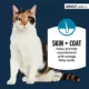 Product Authority Skin + Coat Support Adult Cat Wet Food - Pate, 3 OZ