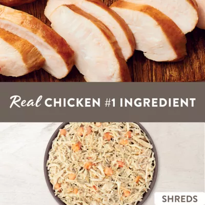 Product Simply Nourish Skin & Coat Recipe Adult Dog Food - Chicken, 10 OZ