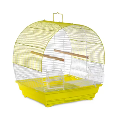 Product Prevue Pet Products Soho Dometop Roof Cockatiel Cage Chartreuse & White