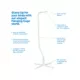 Product Prevue Pet Products Tubular Steel Hanging Bird Cage Stand