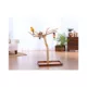 Product Prevue Pet Products Coffeawood Java Tree Extra-Small Floor Playstand