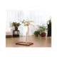 Product Prevue Pet Products Coffeawood Java Tree Extra-Small Floor Playstand
