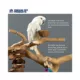 Product Prevue Pet Products Coffeawood Java Tree Large Floor Playstand