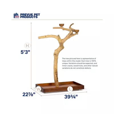 Product Prevue Pet Products Coffeawood Java Tree Large Floor Playstand
