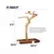 Product Prevue Pet Products Coffeawood Java Tree Large Floor Playstand