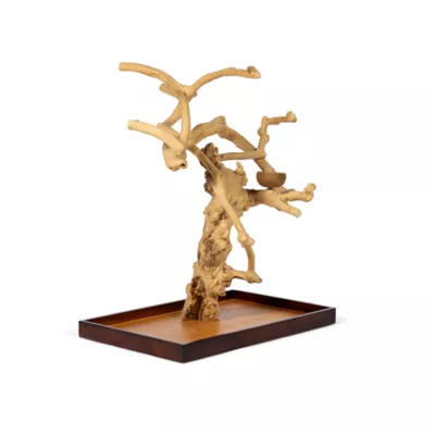 Product Prevue Pet Products Coffeawood Java Tree Minis X-Large Table Top Playstand