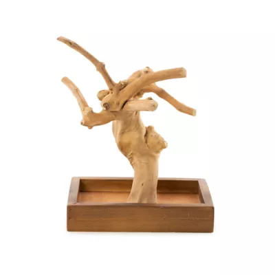 Product Prevue Pet Products Coffeawood Java Tree Minis X-Small Table Top Playstand