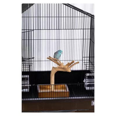 Product Prevue Pet Products Coffeawood Java Tree Minis X-Small Table Top Playstand