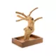 Product Prevue Pet Products Coffeawood Java Tree Minis X-Small Table Top Playstand
