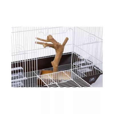 Product Prevue Pet Products Coffeawood Java Tree Minis X-Small Table Top Playstand