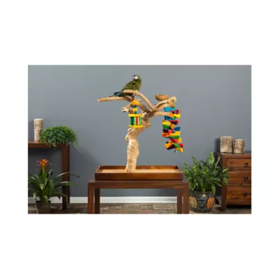 Product Prevue Pet Products Coffeawood Java Tree Minis Large Table Top Playstand