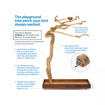 Product Prevue Pet Products Coffeawood Java Tree Medium Floor Playstand