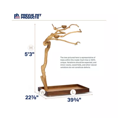 Product Prevue Pet Products Coffeawood Java Tree Medium Floor Playstand