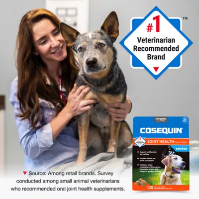 Product Cosequin® Senior Soft Chews