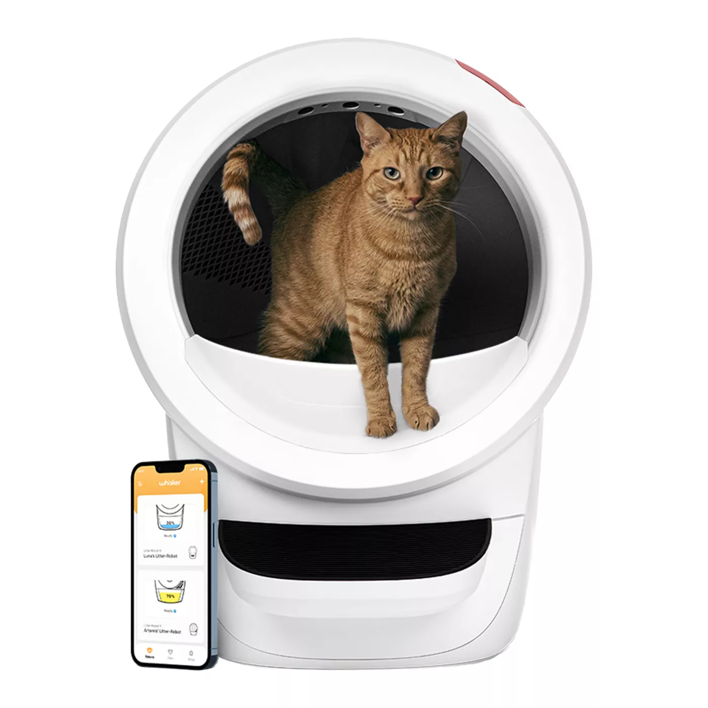 Automatic litter box