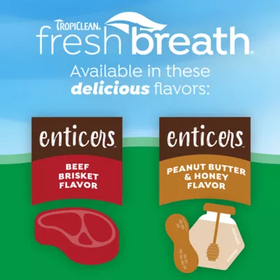 Product TropiClean® Enticers Teeth Cleaning Gel