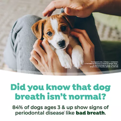 Product TropiClean® Fresh Breath® Dental Water Additive for Puppies, 8oz