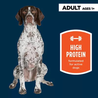 Product Authority High Performance Ground Beef Entree Adult Dog Wet Food - 13 oz
