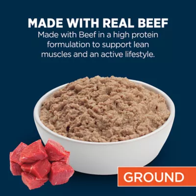 Product Authority High Performance Ground Beef Entree Adult Dog Wet Food - 13 oz