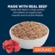 Product Authority High Performance Ground Beef Entree Adult Dog Wet Food - 13 oz