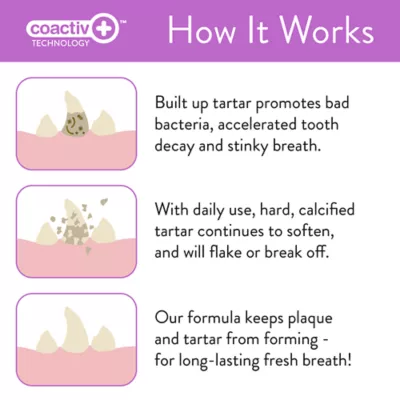 Product Skout's Honor® Pet Dental Wipes