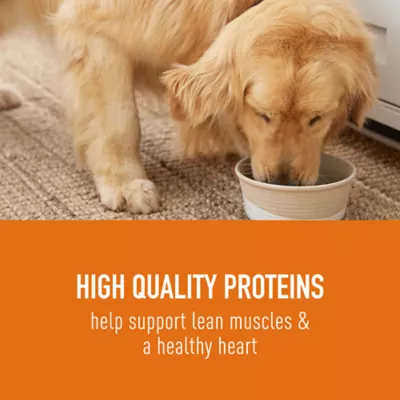 Product Simply Nourish® Source Dog Meal Topper - Shreds, 3 Oz.