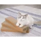 Product Catry Cardboard Cat Scratcher - 3 Count