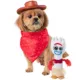 Product Rubie's Pet Shop Halloween Toy Story Woody Costume & Toy Bundle