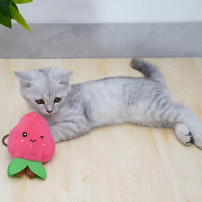 Product PetPals Straw-Lady Interactive Cat Toy