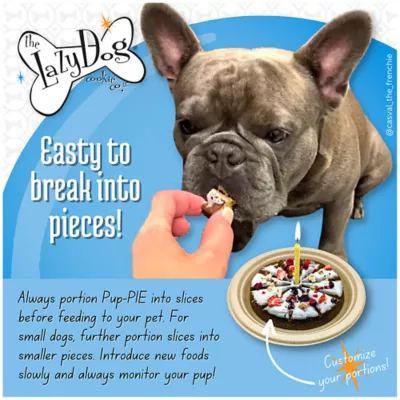 Product The Lazy Dog Cookie Co. Pup-PIE Happy Birthday Boy Dog Treat
