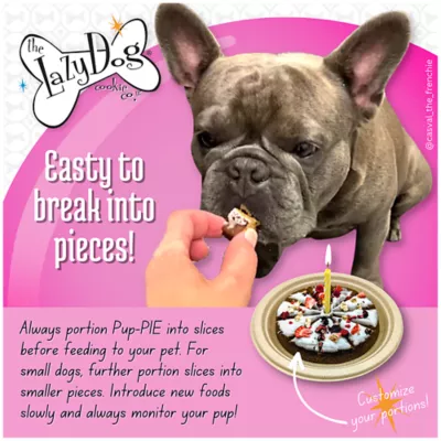 Product The Lazy Dog Cookie Co. Pup-PIE Happy Birthday Girl Dog Treat