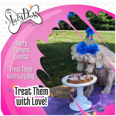 Product The Lazy Dog Cookie Co. Pup-PIE Happy Birthday Girl Dog Treat