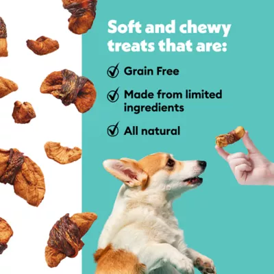 Product Wiggles & Wags Chicken & Apple Twists Dog Treats 16 OZ