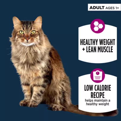 Product Authority Healthy Weight Adult Cat Food - Chicken & Rice
