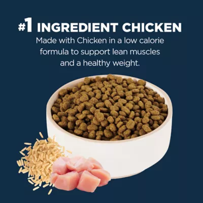 Product Authority Healthy Weight Adult Cat Food - Chicken & Rice