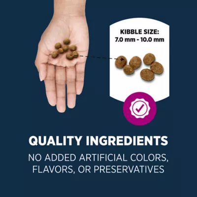 Product Authority Healthy Weight Adult Cat Food - Chicken & Rice