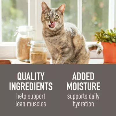 Product Simply Nourish Natural Adult Wet Cat Food - Pate, Split Cups, 2.65 oz