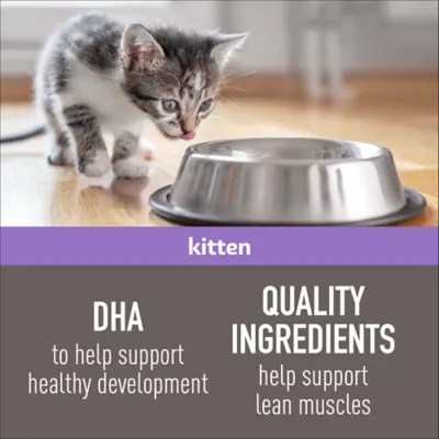 Product Simply Nourish Natural Kitten Wet Food - Pate, Split Cups, 2.65 oz