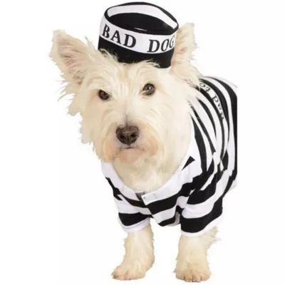 Product Rubie's Pet Shop Halloween Prisoner Dog & Cat Costume