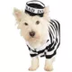 Product Rubie's Pet Shop Halloween Prisoner Dog & Cat Costume