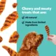 Product Wiggles & Wags Chicken Meaty Grillers Dog Treats 12 OZ