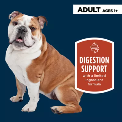 Product Authority Digestive Support Adult Wet Dog Food - Chicken with Pumpkin, 10 oz