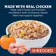 Product Authority Digestive Support Adult Wet Dog Food - Chicken with Pumpkin, 10 oz