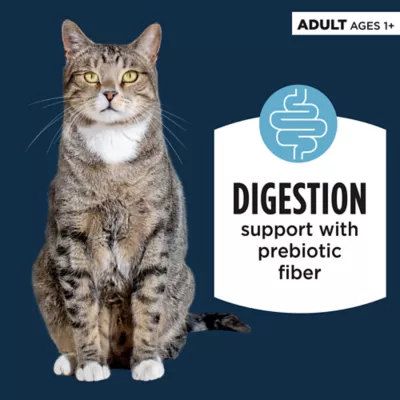 Product Auhtority Digestive Support Adult Cat Food - Pate, Whitefish and Salmon, 3 OZ